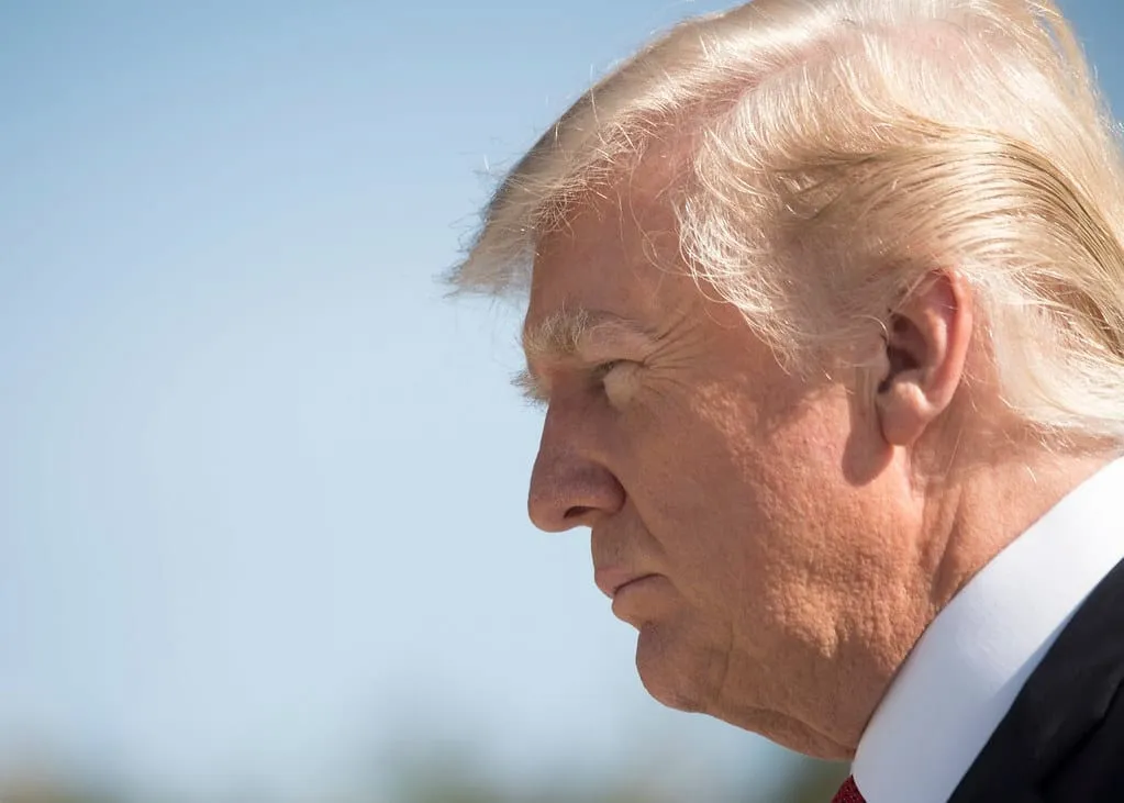 Supreme Court Ruling Shocker - Trump’s Hair Can file for divorce